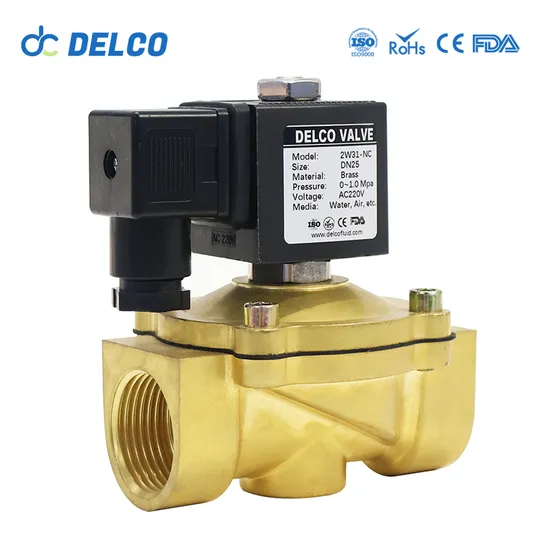 DELCO Stainless Steel Miniature Normally Closed Solenoid Valves for Air Gas Water